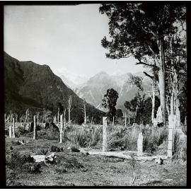 South Westland