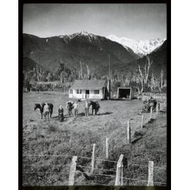 Cook River Farm