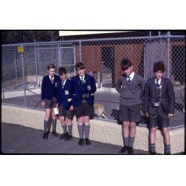 Group of boys at zoo