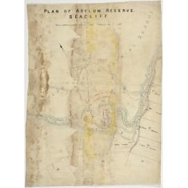 Plan of Asylum Reserve. Seacliff