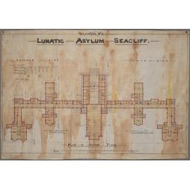 Plan of Second Floor, 'Drawing No.3 Lunatic Asylum Seacliff'