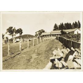 Simla Ward [Seacliff Hospital]