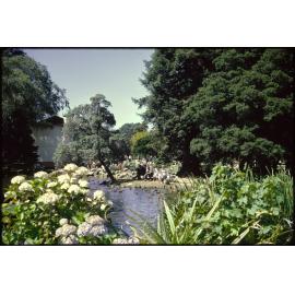 Dunedin Botanic Garden