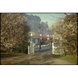 Gates to Knox College from Knox Street