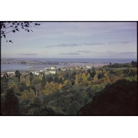 Dunedin from Queens Drive