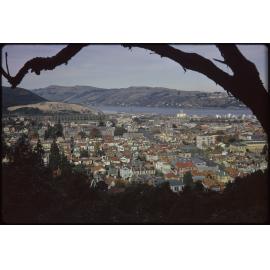 North Dunedin from Queens Drive