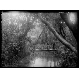 Woodhaugh Gardens