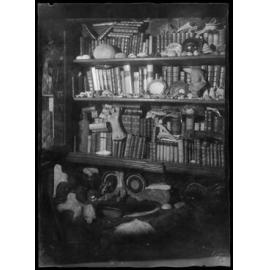 Collector's bookshelves