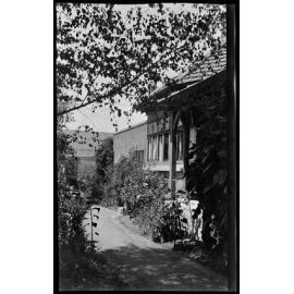 Path at 403 George St