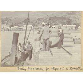 Readying seed for shipment to Lyttelton