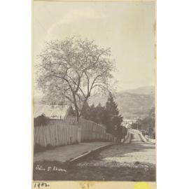 Jolie St, Akaroa