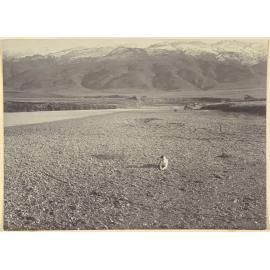 Big Bend Claim, Taieri River