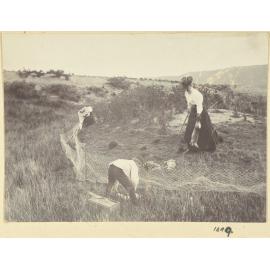 Ferreting