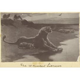 The Wounded Lioness