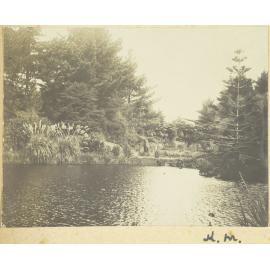 Pond