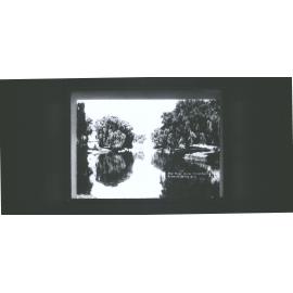 The River Avon, Christchurch, N.Z.