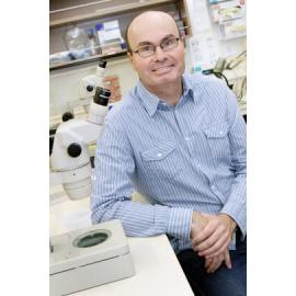 Professor Robert Poulin