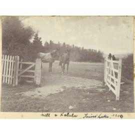 Nell and Kalulu, Taieri Lake Station