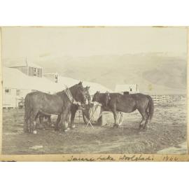 Taieri Lake woolshed