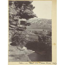 Curious nest on Taieri River