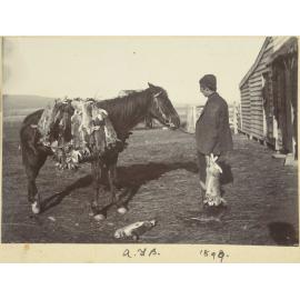 Alfred Buckland and horse with dead rabbits