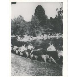 In The Rock Gardens, Christchurch, N.Z.