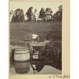 Winnie Smith, Greenfield