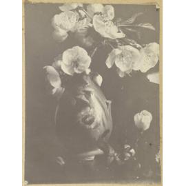 Blossoms in a decorative vase