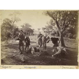 'Gypsies', Tumai, Waikouaiti