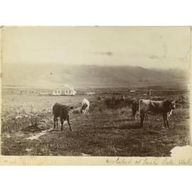Woolshed at Taieri Lake Station