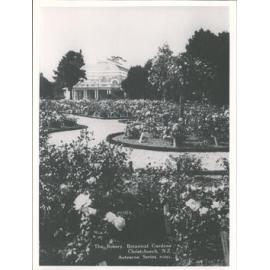 The Rosery, Botanical Gardens, Christchurch, N.Z.