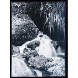 Water flowing over rocks in a creek, Westland