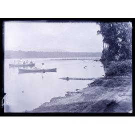River scene, Westland