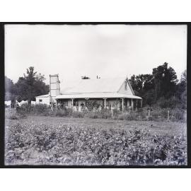 Group of people and farmhouse, Westland