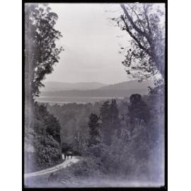 View including person with horse on road through bush, Westland