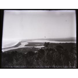 Coastal swamp viewed from a high point, Westland