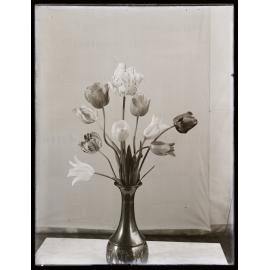 Study of tulips in a metal vase