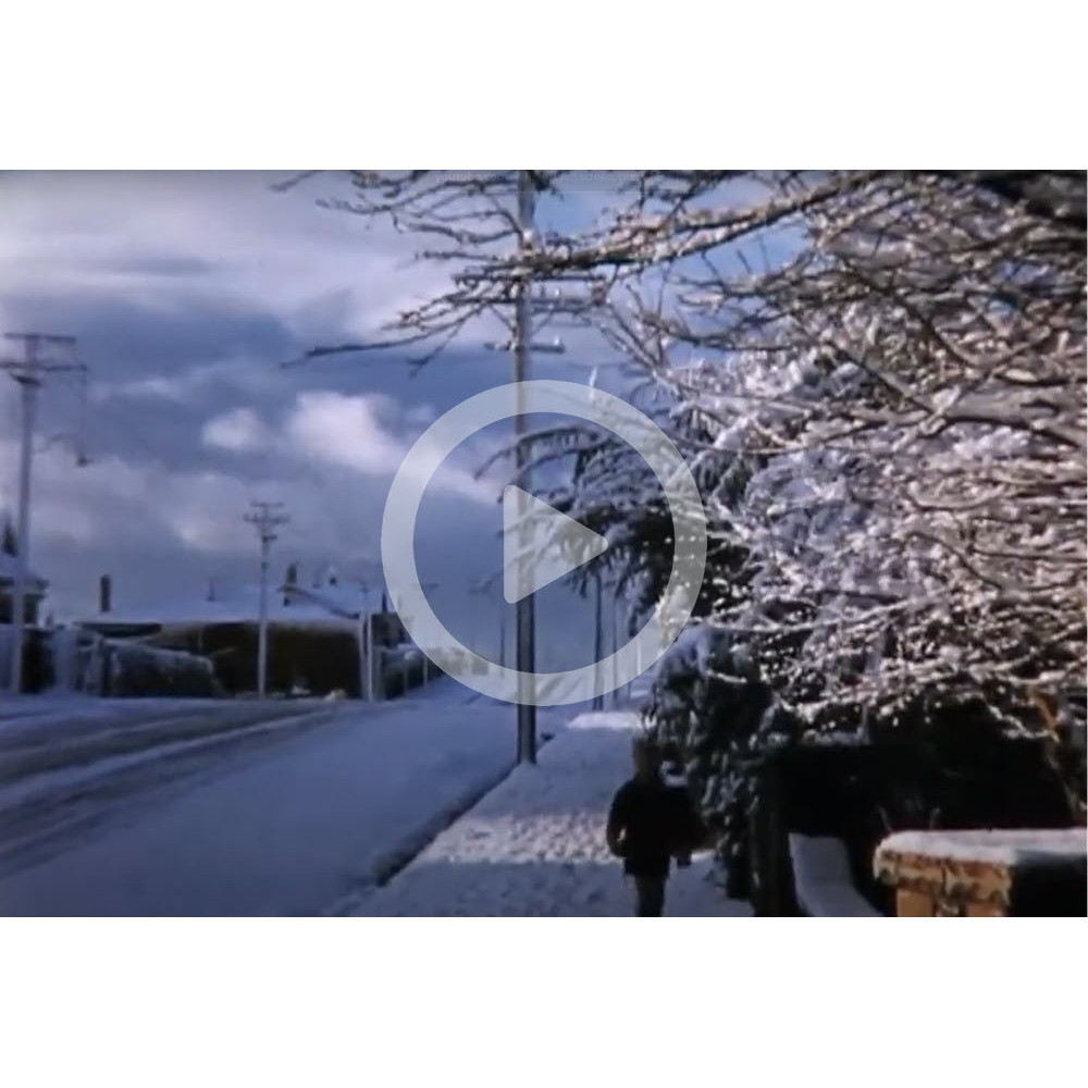 Snowy day in Mornington