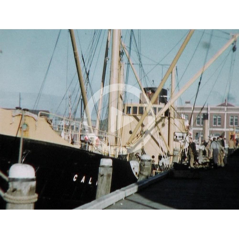 Otago Harbour in the 1950s