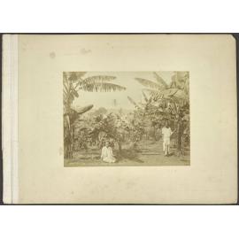 Native Village near Suva, Fiji