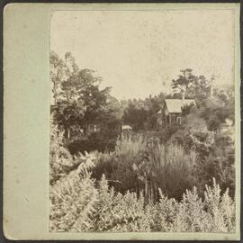 Ferntree House