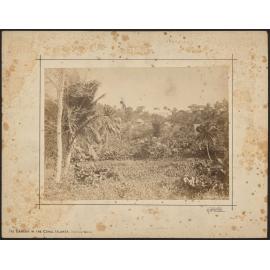 Roman Catholic Mission, Apia