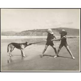At Play, Warrington Beach, Otago
