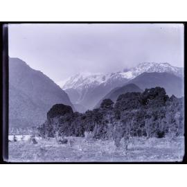 View towards Fox Glacier / Te Moeka o Tuawe