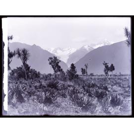 Fox Glacier / Te Moeka o Tuawe, seen from some distance