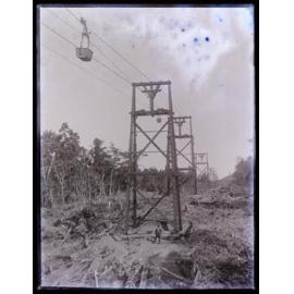 Person standing underneath a bush cableway, Westland