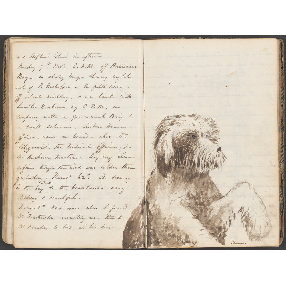 Journal of William Fox