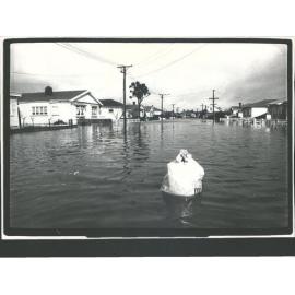 Flooded street, Christchurch