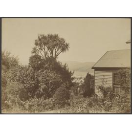 View from Manono