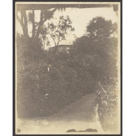 'Manono - path to front gate and London St'
